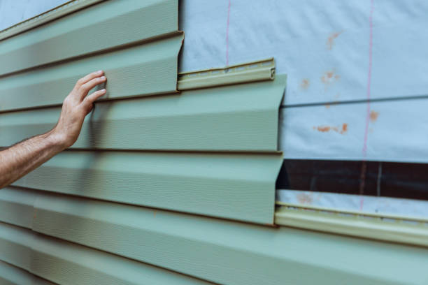 Best Custom Trim and Detailing for Siding  in Clifton Forge, VA